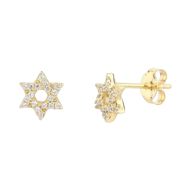 עגילי מגן דוד משובצים, תצוגה נוספת